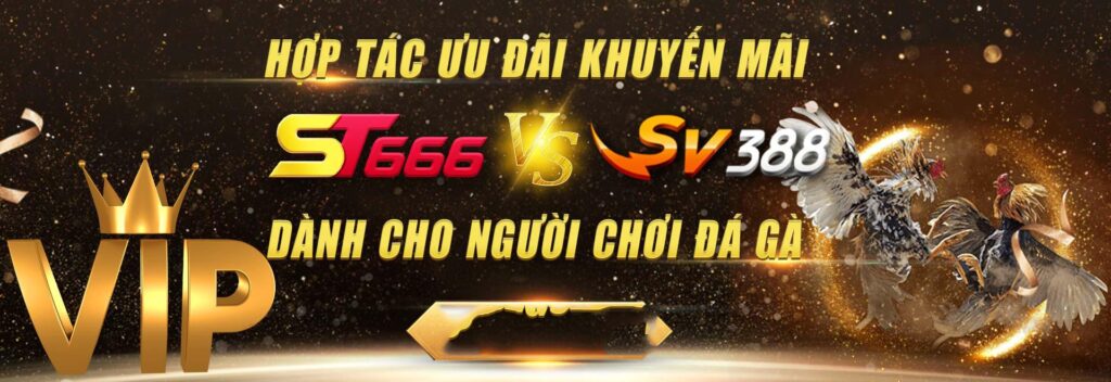 Làm thế nào để đăng nhập vào Abc8, đăng ký và tham gia các cuộc thi đá gà trực tiếp trên SVV388? - Abc8