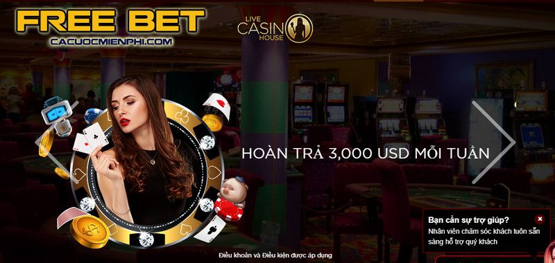 Đánh bạc tại sòng bạc được xếp hạng Asia99 có phải là bất hợp pháp không? - Asia99