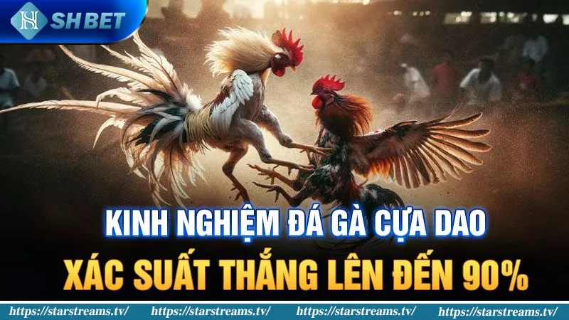 Nhận hướng dẫn chơi game từ Ee8801 - Ee8801
