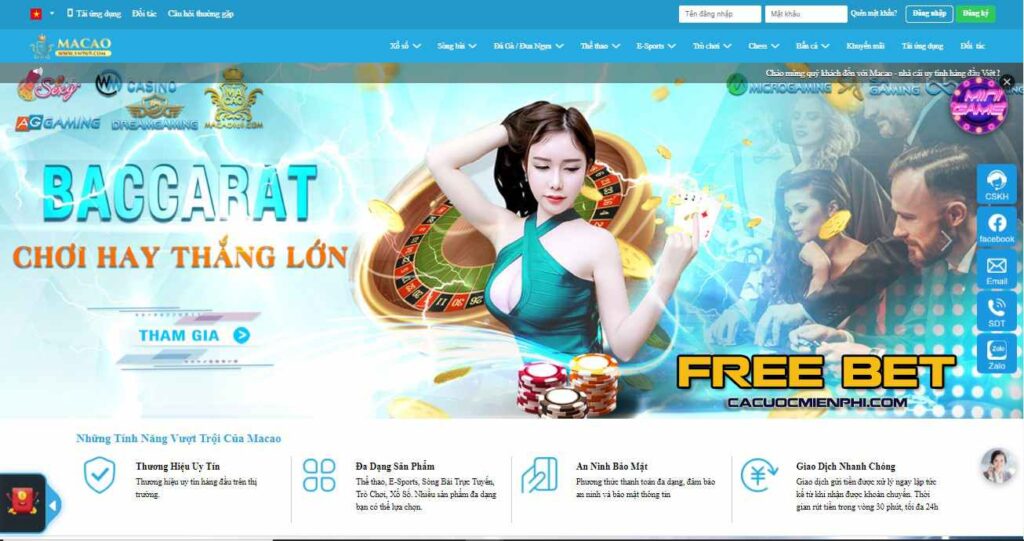 Những điều cần lưu ý khi tham gia chương trình thành viên VIP của Ricwin - Ricwin