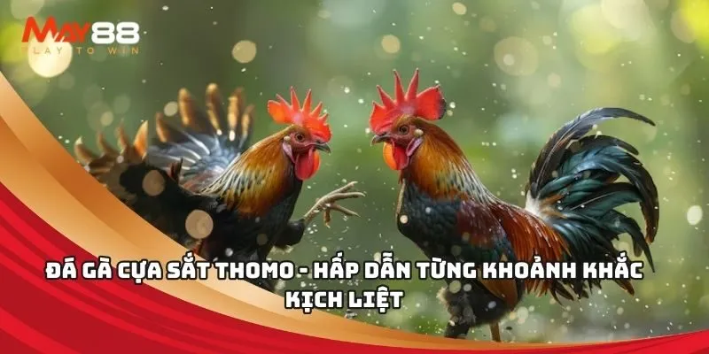 Hq88 cung cấp hỗ trợ chuyên nghiệp cho người chơi - Hq88