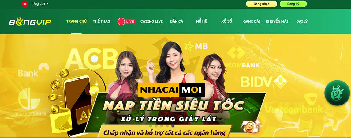 2Q cung cấp các lựa chọn giải trí - 2Q