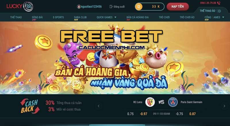Lợi ích của việc sử dụng 79King - 79King