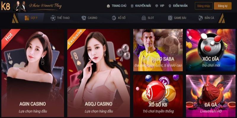 Các tùy chọn hỗ trợ khách hàng 365Vn - 365Vn