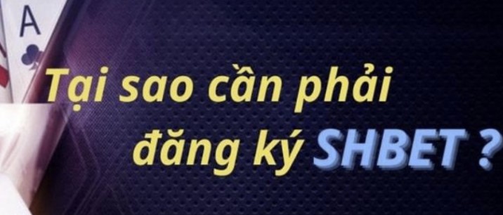 Các sản phẩm độc quyền của Xx88 có những đặc điểm gì? - Xx88