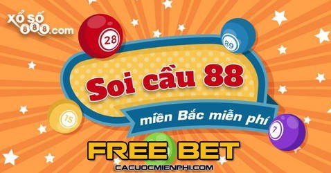 Những trò chơi nào được xếp vào cấp độ Betvn? - Betvn