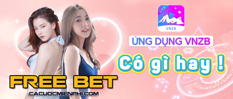 Chính sách bảo vệ và thanh khoản cấp 100Bet - 100Bet