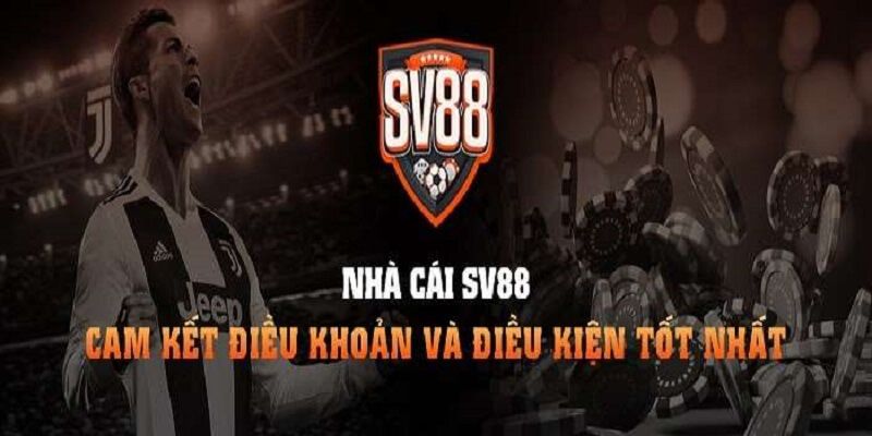 Câu hỏi thường gặp – Các vấn đề thường gặp liên quan đến trang web Vip88 Games - Vip88