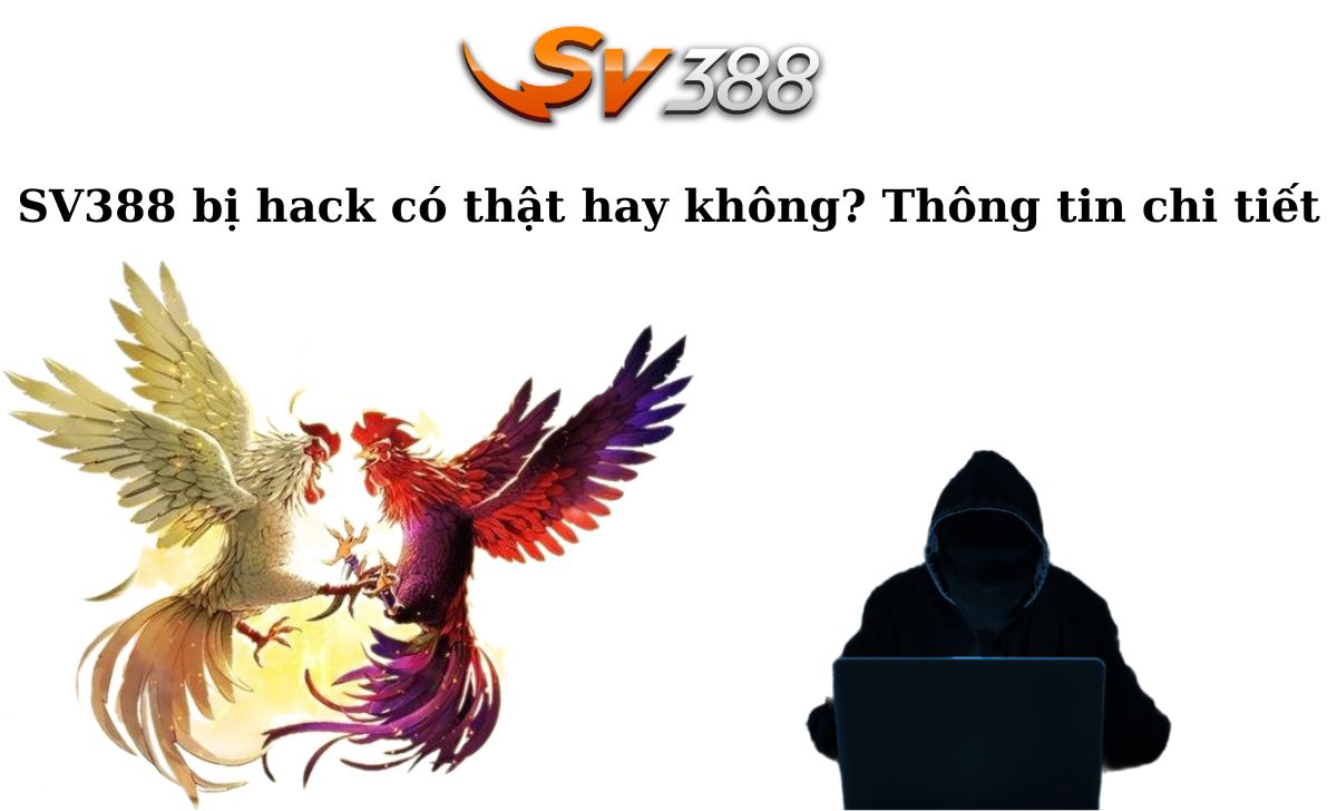168Vn - Cổng thông tin thể thao và game không thể bỏ qua - 168Vn