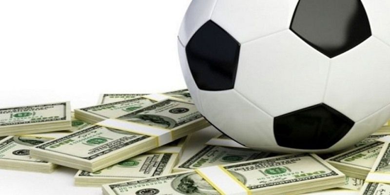 Chương trình tích điểm 388Bet: Nhận 55 điểm thưởng miễn phí, không cần nạp tiền - 388Bet
