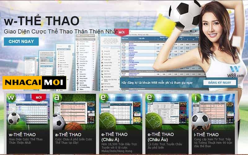 Các trò chơi và nguồn tài nguyên giải trí cấp độ Haywin - Haywin