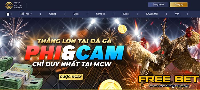 Fv88 hỗ trợ đến mức nào? - Fv88