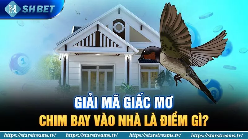 Cách rút tiền từ tài khoản thành viên 11Vn của bạn - 11Vn