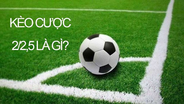 Caxeng cung cấp các sản phẩm giải trí - Caxeng