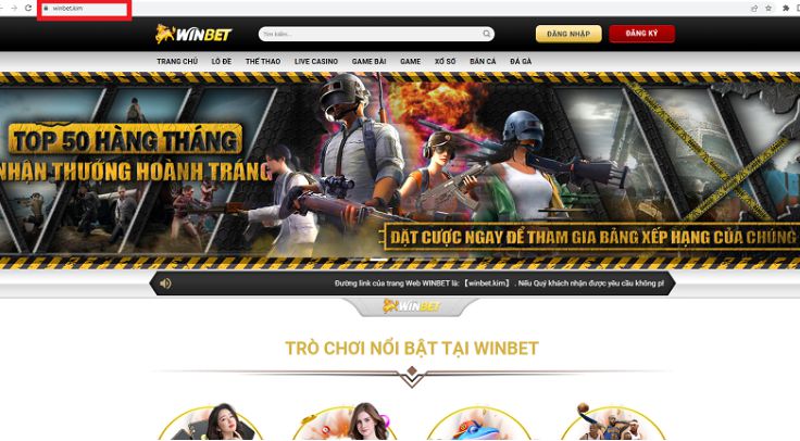 Hướng dẫn thực hiện và phương pháp đăng ký Vnq8 - Vnq8