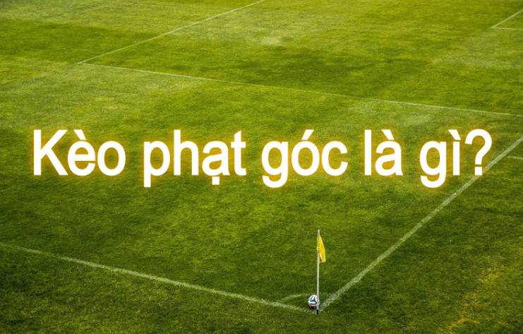 Nhưng than ôi, Hl8 Games đã lừa mất tiền của tôi - Hl8